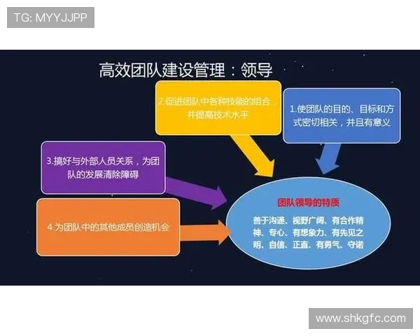 探索上海篮球队运营体系中的战术创新与团队协作模式