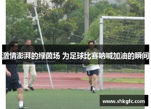 激情澎湃的绿茵场 为足球比赛呐喊加油的瞬间
