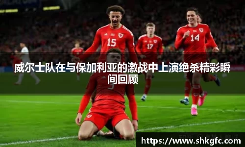 威尔士队在与保加利亚的激战中上演绝杀精彩瞬间回顾